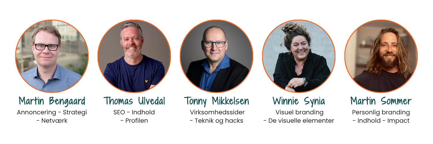 Konsulenter i LinkedInsider